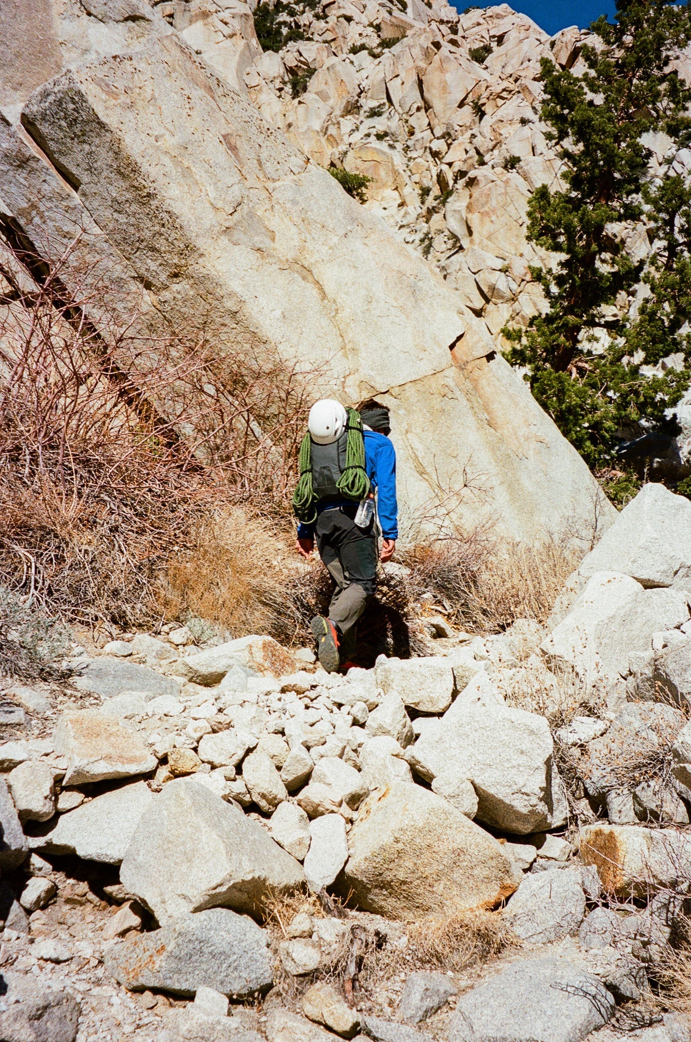 Pa'lante Alpine Pack - Black Gridstop