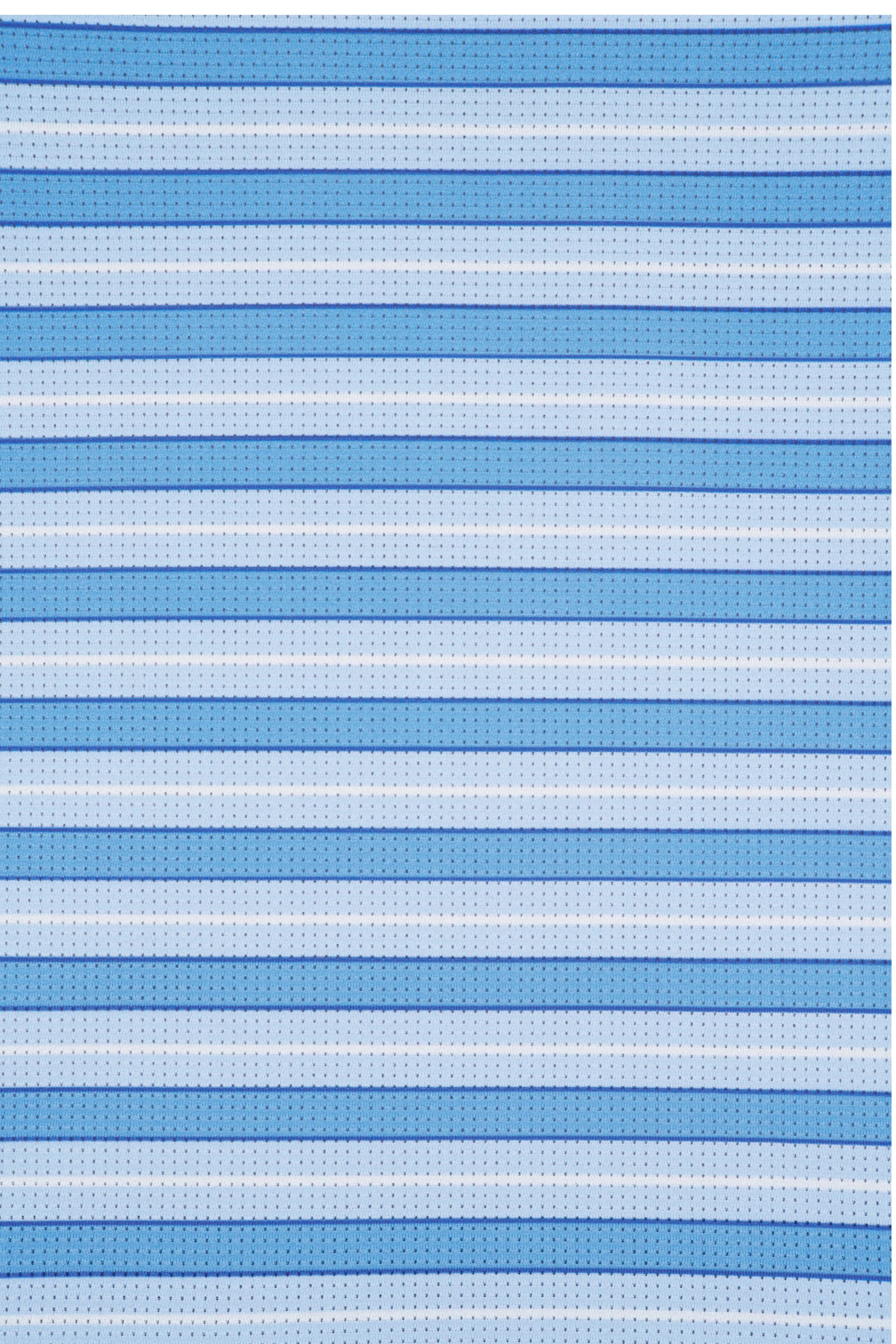 Striped LS W Business Blue